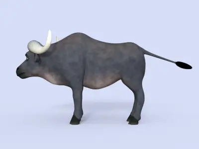 Cartoon Buffalo Rigged 3D model