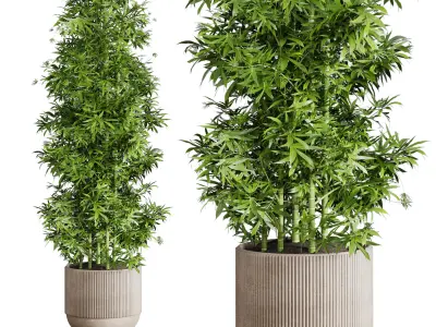 Collection indoor outdoor plant 144 plant bamboo vase concrete 3D model