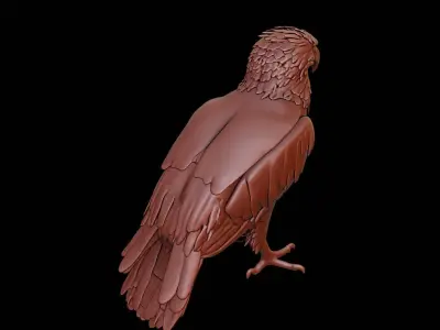 Eagle Animal Sculpture 3D print model get