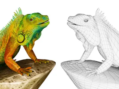 Hunter iguana on rock 3D model