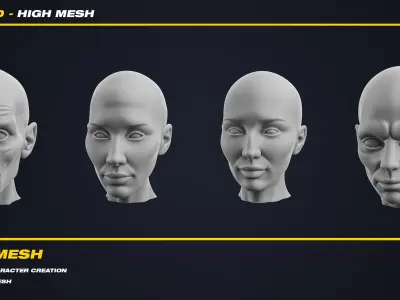 20 Head - High Mesh - Vol 03 3D model