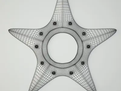 Metal Starfish Mirror 3D model