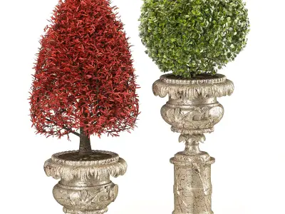 Outdoor Plant 06  Neoclassical Style 3D model