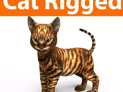 Wild Cute Cat Rigged  Low-poly 3D model purchase