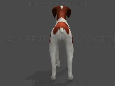 Brittany Dog Animated 3D model