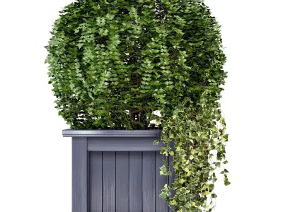 Outdoor Plants in Wooden Pot - Set 34  3D model