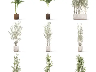 Plants collection vol 43