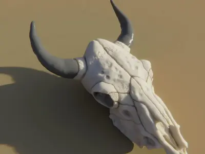 Cow Skull 3D model