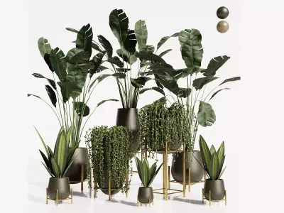 INDOOR PLANT SET01 3D model