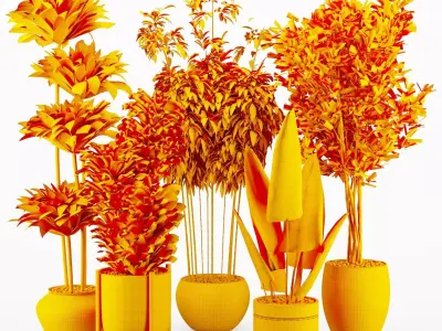 Modern Indoor Plants Set with Black Pots 3D model