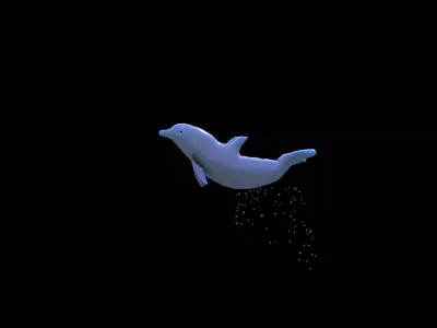 Dolphin Jumping 3D model
