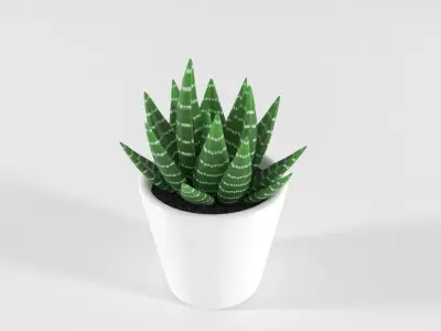Succulent and Cactus in pot Low-poly 3D model