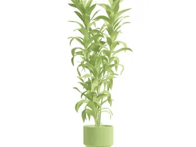 Indoor Plants Pack 88 3D model