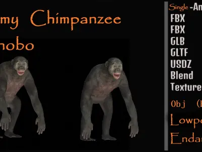 Pygmy Chimpanzee Bonobo Ape Low-poly 3D model