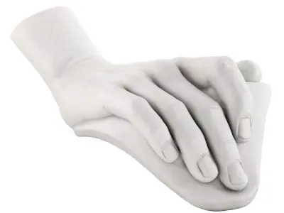 The Plaster Model of Davids Hand 3D model