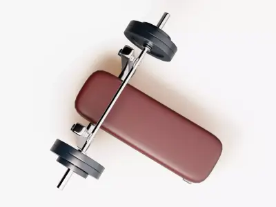 Bench Press 3D model