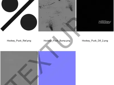 Hockey Puck 4 3D model