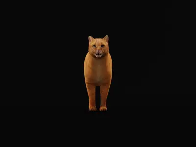Jaguarundi Wildcat Animal Low-poly 3D model