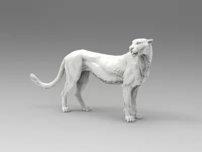 cheetah 3D model