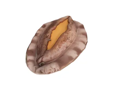 abalone Low-poly 3D model