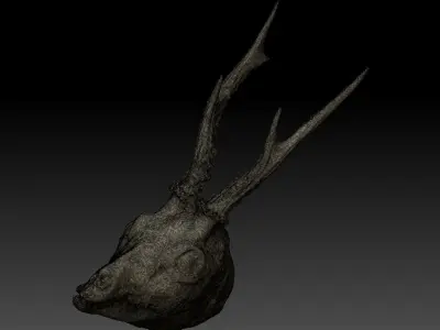 Skinned Deers Head High Detail Scan With Texture 3D model 3D model