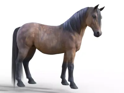 Realistic Rigged Horse  3D model