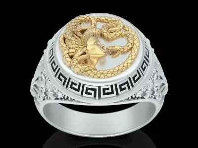 Medusa snake ring  gold  jewelry printable 3D model 3D print model