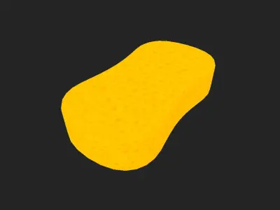 Sponge Low-poly 3D model
