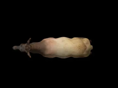 Rigged Elk Doe Low-poly 3D model