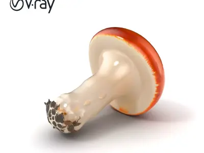 Dual-tone Red-Cap Mushroom model pack Low-poly 3D model