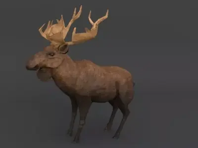 Moose with antlers Low-poly 3D model purchase