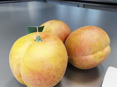 Photorealistic Peach High Resolution 3D model