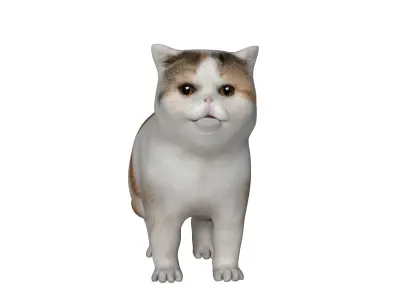 Exotic Shorthair Cat Low-poly 3D model