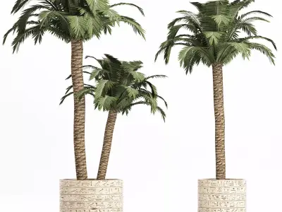 Plants Collection 159 Egyptian Plants 3D model