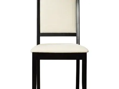Rymer Tufted Side Chair in Black 3D model