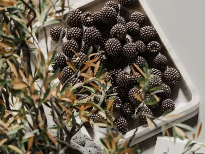 decorative set 135 3D model