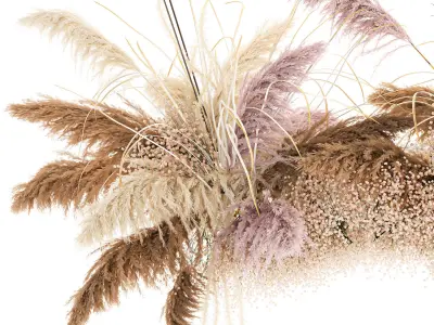 Hanging decor of their dried pampas grass 200 3D model