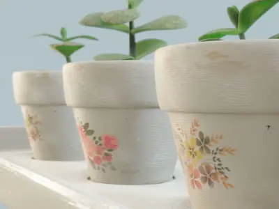 Plant Pot Set Low-poly 3D model