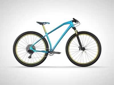 HARDTAIL MOUNTAIN BIKE 29 INCH WHEEL -  ACTUAL DIMENSION 3D model