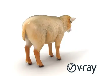 Fluffy Sheep Grazing Stance model pack Low-poly 3D model