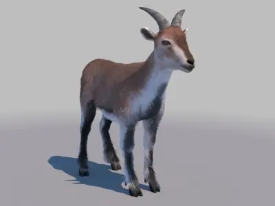 blue sheep 3Dmodel 3D model