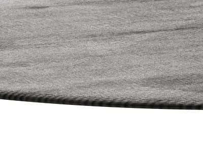 Carpet 6 3D model