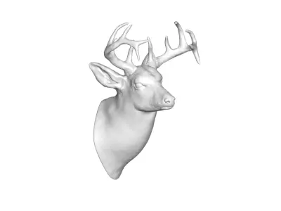 Deer head 3D model buy