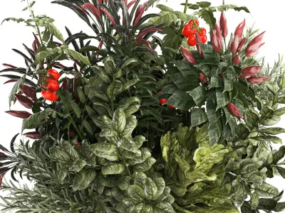 Bouquet of kitchen herbs and vegetables vase tomato pepper  3D model