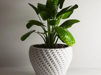 pot collection a01 5 pots