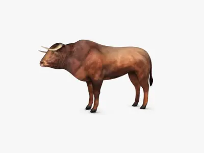 Low Poly Bull Low-poly 3D model