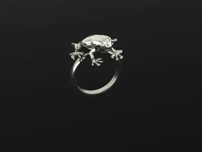 frog ring 3D print model
