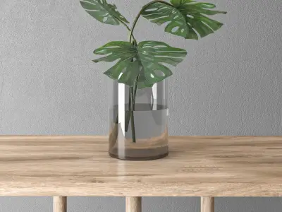 decorative plant collection on wooden stand  3D model