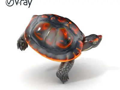 European Pond Turtle Realistic D Model Pack Low-poly 3D model