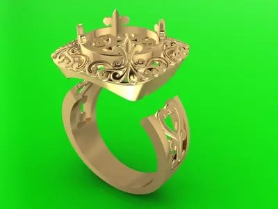 Ring G60 3D print model
